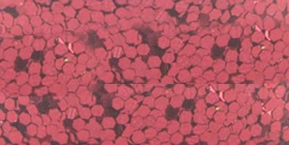 Advantus Glitter 4oz-Red - Image 3